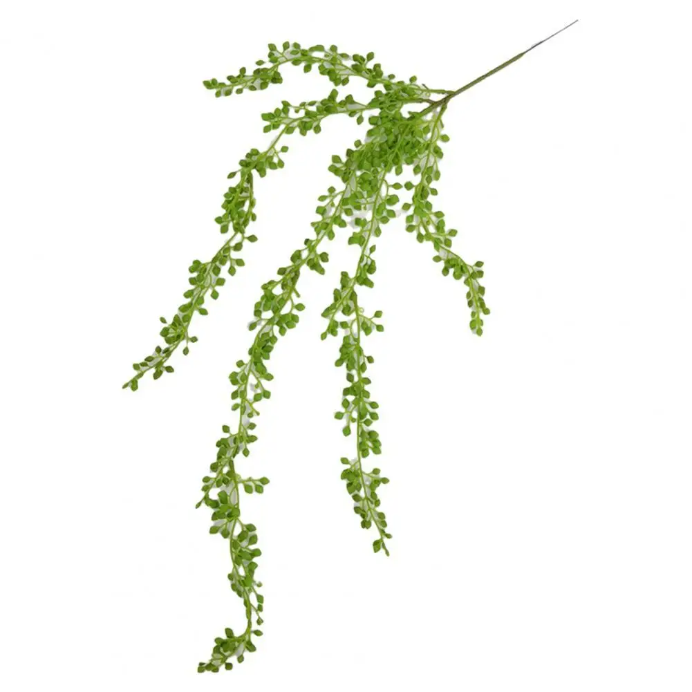 80% Hot Sale 5 Forks Artificial Flower Decor Plant Lover Tears Succulents Home Garden Balcony Decor Plants Arrangement Bonsai
80% Hot Sale 5 Forks Artificial Flower Decor Plant Lover Tears Succulents Home Garden Balcony Decor Plants Arrangement Bonsai