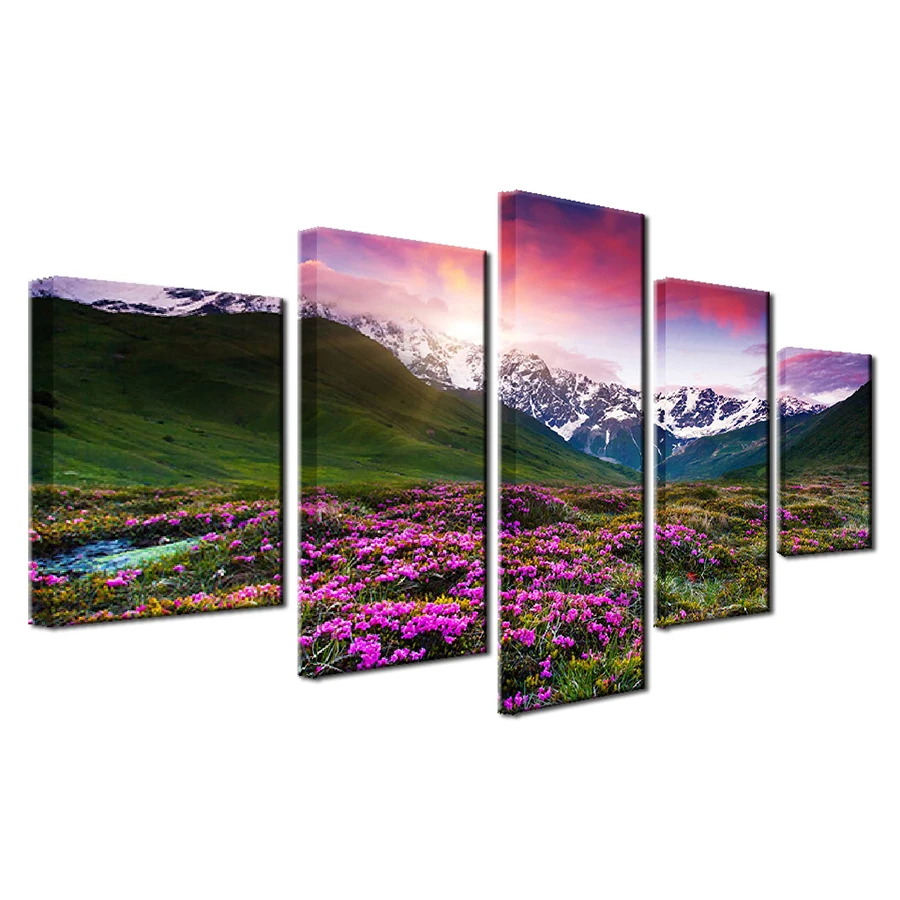 Canvas Paintings Living Room Framework Wall Art 5 Pieces Flowers Snow Mountains And Plains Landscape HD Prints Poster Home Decor
Canvas Paintings Living Room Framework Wall Art 5 Pieces Flowers Snow Mountains And Plains Landscape HD Prints Poster Home Decor