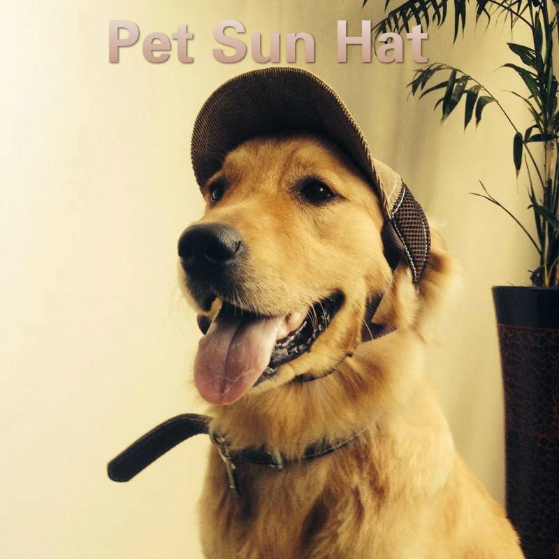 Pet Cap Teddy Golden Retriever Baseball Cap Corduroy Mesh Sun Visor G Embroidered Dog Cap
Pet Cap Teddy Golden Retriever Baseball Cap Corduroy Mesh Sun Visor G Embroidered Dog Cap