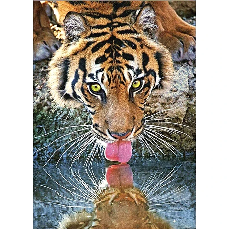 5D DIY Diamond Painting Round Diamond Embroidery Animal Tiger Art Painting Mosaic Home Decoration Handmade Gift
5D DIY Diamond Painting Round Diamond Embroidery Animal Tiger Art Painting Mosaic Home Decoration Handmade Gift