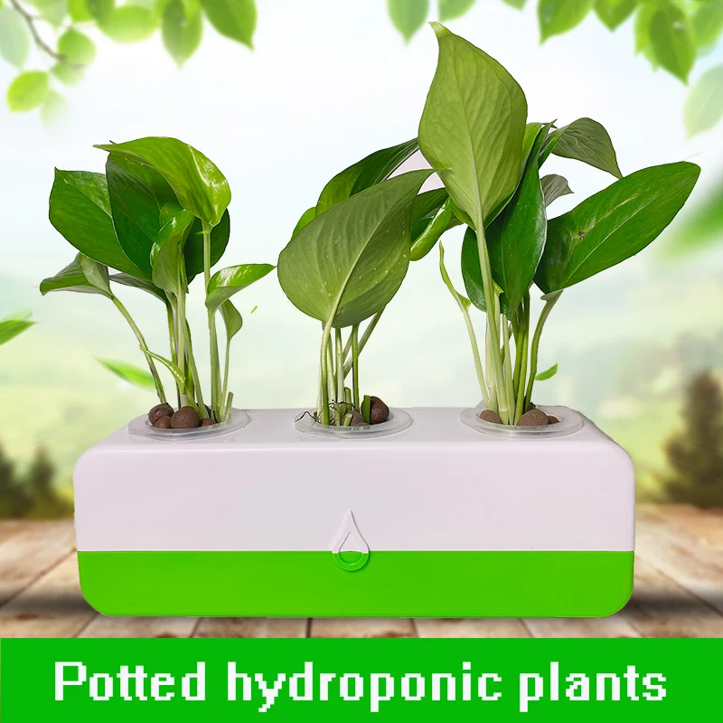 Hydroponic plant flowerpot indoor hydroponic desktop green Plant potted soilless cultivation planting gardenbox
Hydroponic plant flowerpot indoor hydroponic desktop green Plant potted soilless cultivation planting gardenbox
