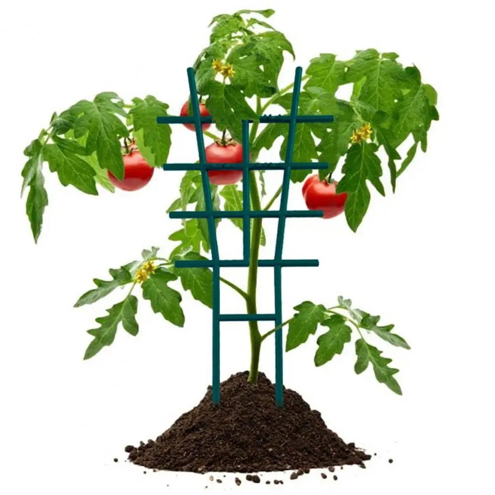 Plant Support Rack Practical Corrosion-resistance Plastic Garden Growth Stake Arms Stand for Outdoor
Plant Support Rack Practical Corrosion-resistance Plastic Garden Growth Stake Arms Stand for Outdoor