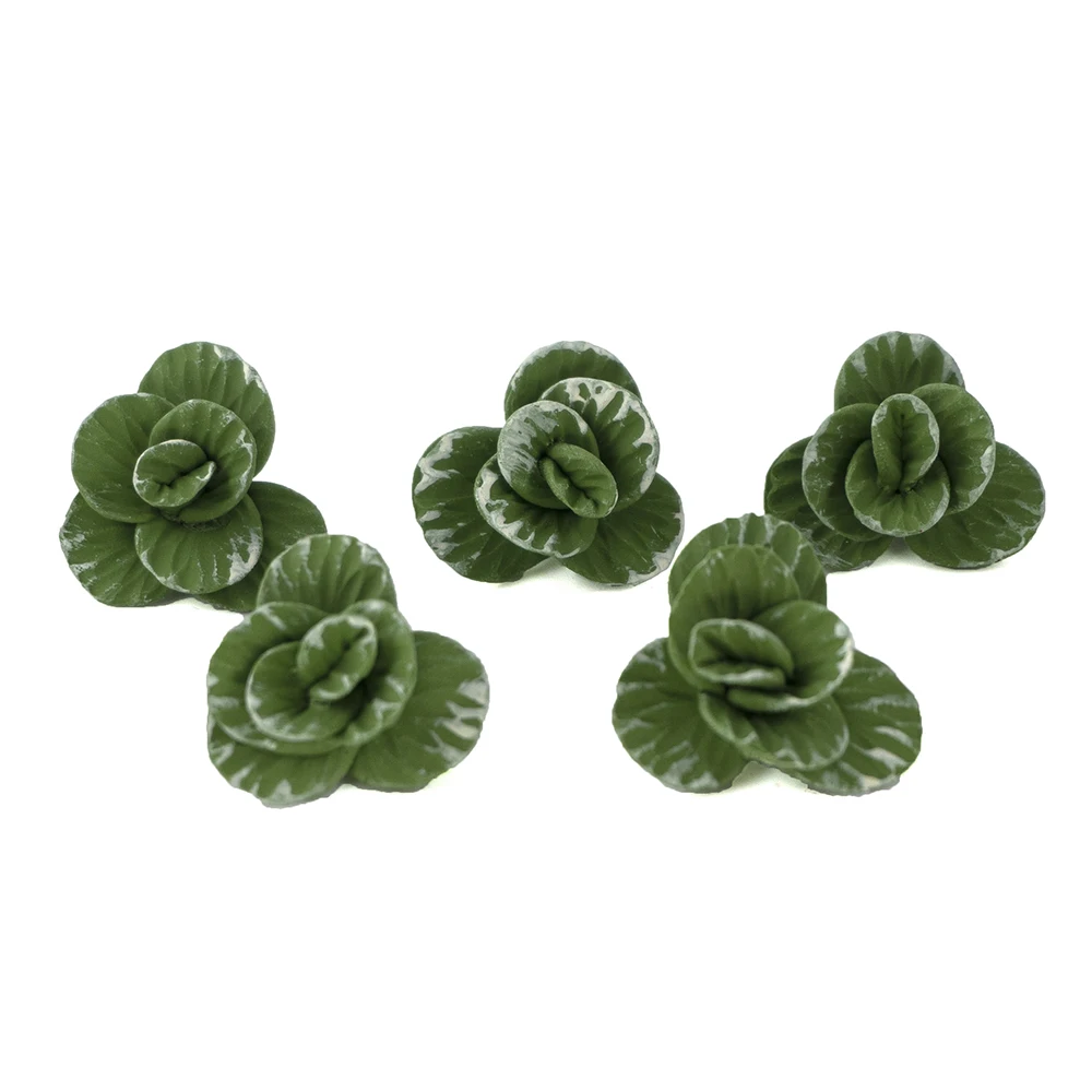 5Pcs 1/12 Doll House Miniature Cabbage Simulation Vegetables Model Toys for Mini Decoration Dollhouse Accessories
5Pcs 1/12 Doll House Miniature Cabbage Simulation Vegetables Model Toys for Mini Decoration Dollhouse Accessories