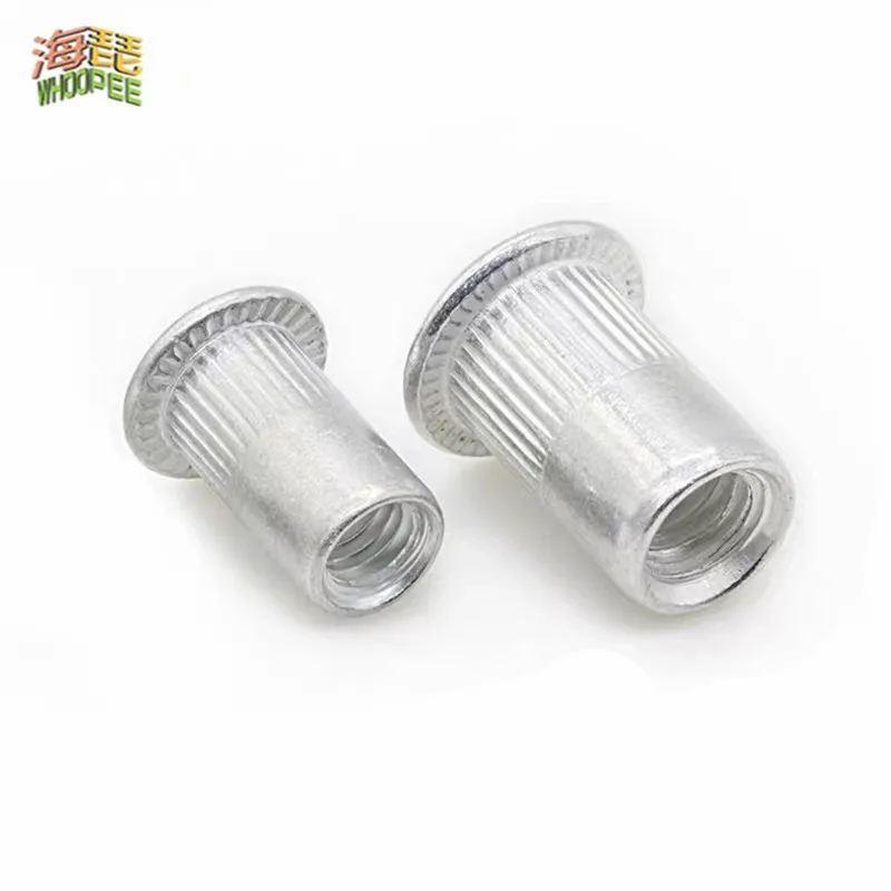 50pcs 20Pcs M3 M4 M5 M6 M8 M10 M12 Aluminum Alloy Rivnut Flat Head Threaded Rivet Insert Nutsert Cap Rivet Nut
50pcs 20Pcs M3 M4 M5 M6 M8 M10 M12 Aluminum Alloy Rivnut Flat Head Threaded Rivet Insert Nutsert Cap Rivet Nut