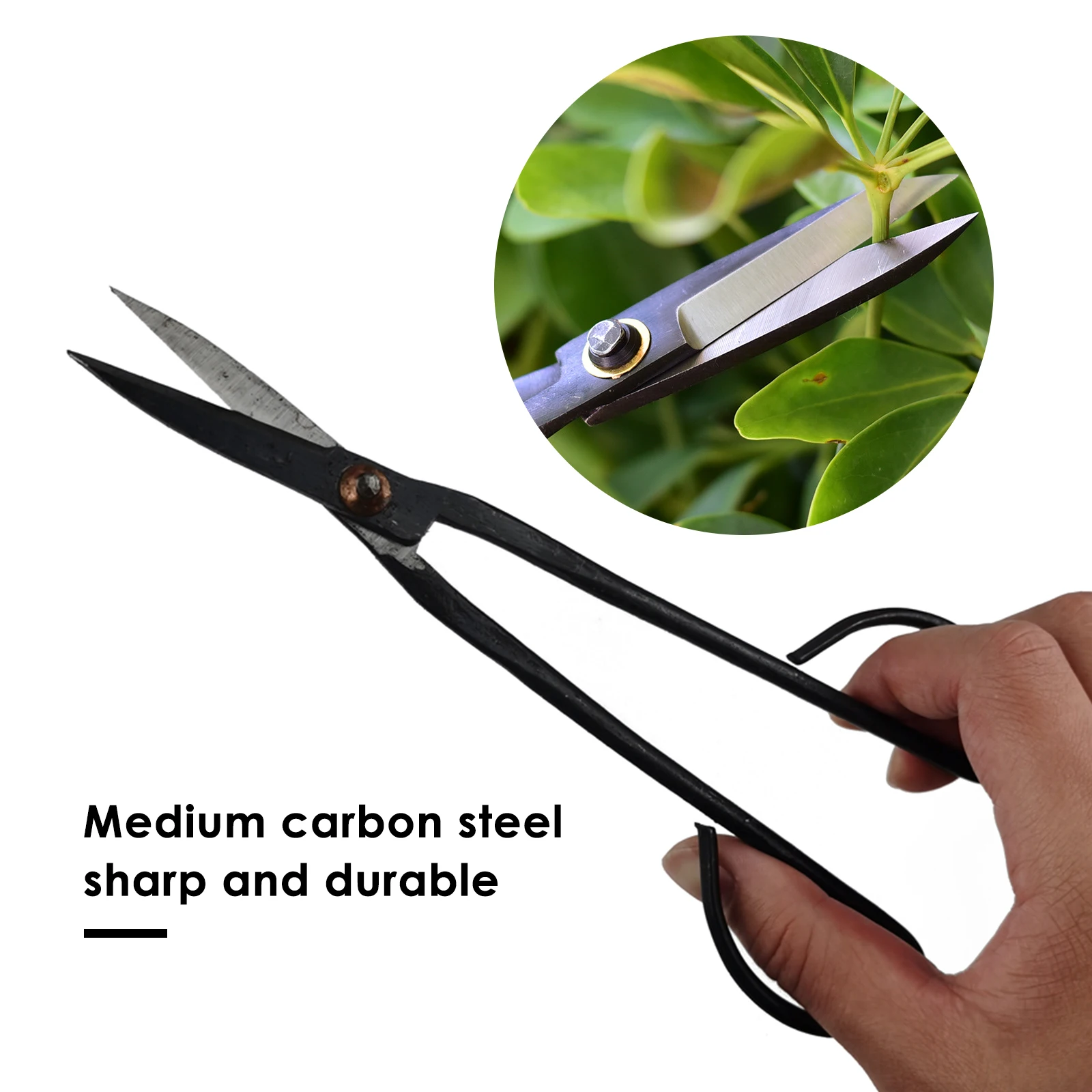 Beginner Bonsai Tool Long Handle Scissors Gardening Plant Branch Shears 20cm garden pruning tools bonsai scissors Drop Shipping
Beginner Bonsai Tool Long Handle Scissors Gardening Plant Branch Shears 20cm garden pruning tools bonsai scissors Drop Shipping