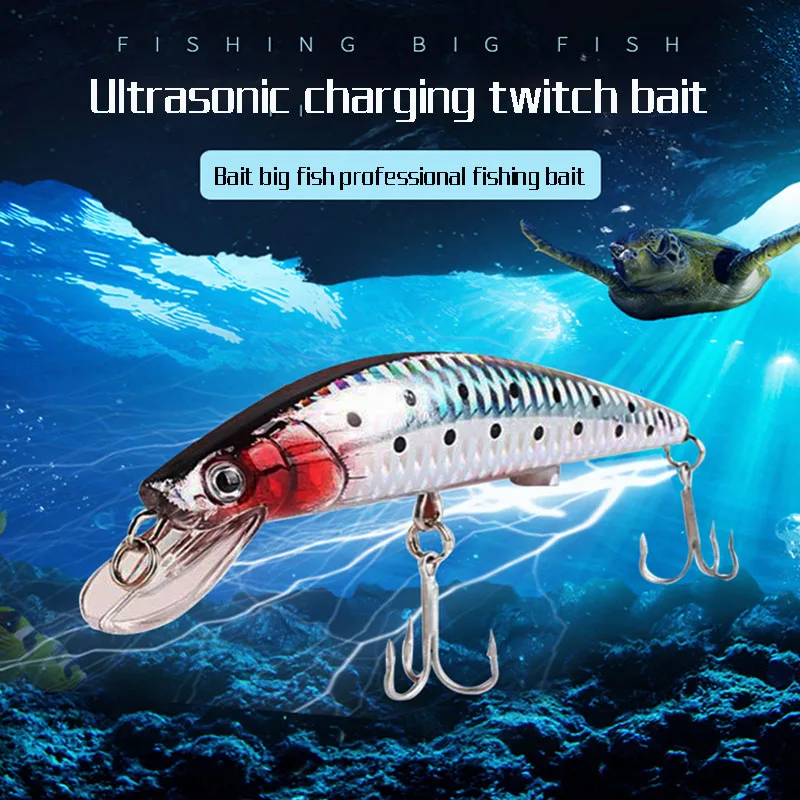 USB Fishing Lure Flashing Minnow LED Light Rechargeable Bionic Fishing Lure Flashing Lure Perch Flounder Throwing
USB Fishing Lure Flashing Minnow LED Light Rechargeable Bionic Fishing Lure Flashing Lure Perch Flounder Throwing