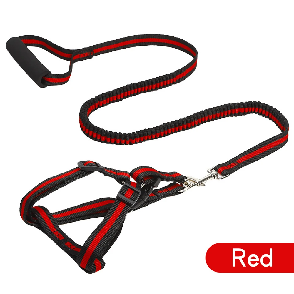 Cat Dog Leash Pet Supplies Cat and Dog Traction Rope Dog Chain Dog Rope Golden Retriever Large Dog Buffer Elastic Pull Rope
Cat Dog Leash Pet Supplies Cat and Dog Traction Rope Dog Chain Dog Rope Golden Retriever Large Dog Buffer Elastic Pull Rope