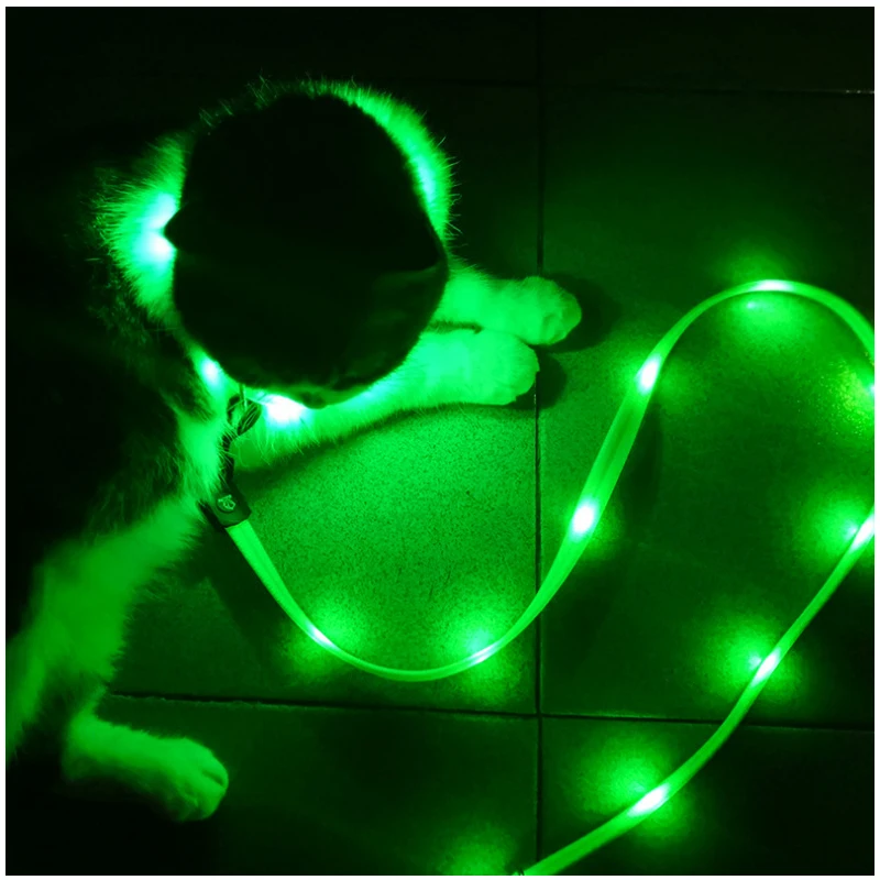 Pet Dog Luminous Traction Rope Collar USB Charging Collar Can Be Recycled Using LED Lights Pet Puppy Adjustable Walk Lead Leash
Pet Dog Luminous Traction Rope Collar USB Charging Collar Can Be Recycled Using LED Lights Pet Puppy Adjustable Walk Lead Leash