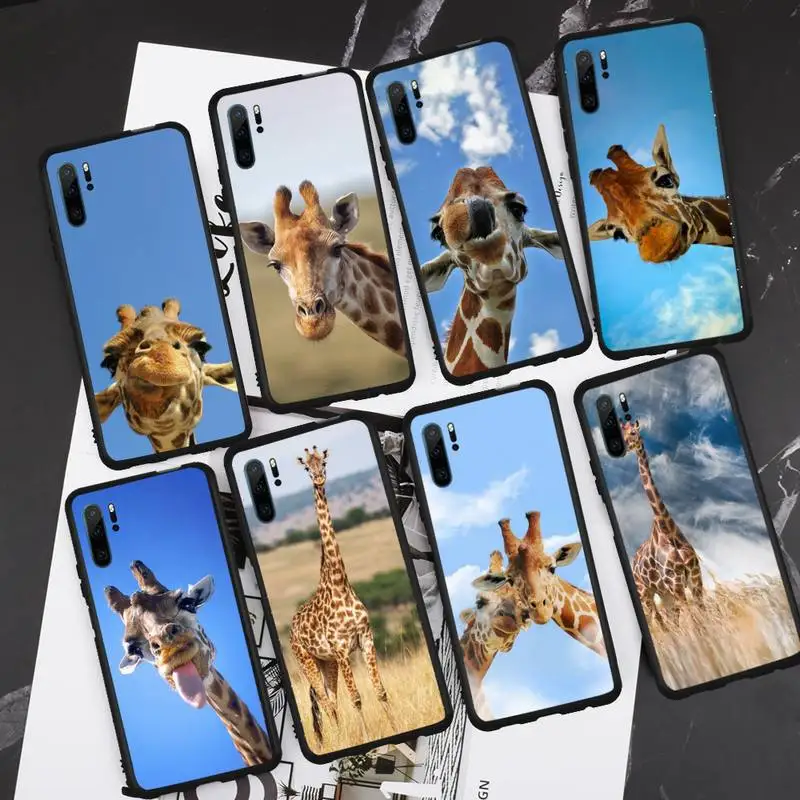 giraffe animal cute lovely Phone Case For Huawei honor Mate P 9 10 20 30 40 Pro 10i 7 8 a x Lite nova 5t shell cover funda
giraffe animal cute lovely Phone Case For Huawei honor Mate P 9 10 20 30 40 Pro 10i 7 8 a x Lite nova 5t shell cover funda