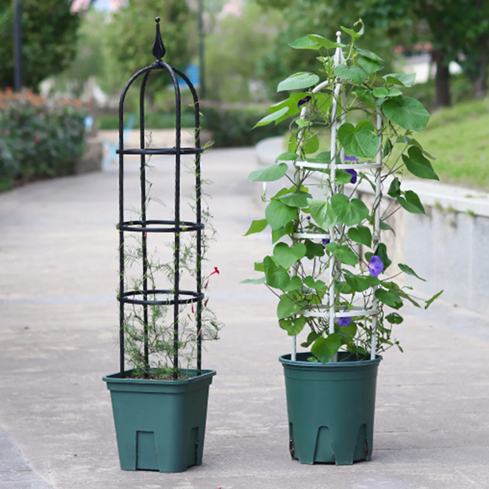 Durable Creative Vines Climbing Trellis Spliced Steel Flower Decorative Vegetables Plant Trellis Plant Support Frame Plant New
Durable Creative Vines Climbing Trellis Spliced Steel Flower Decorative Vegetables Plant Trellis Plant Support Frame Plant New