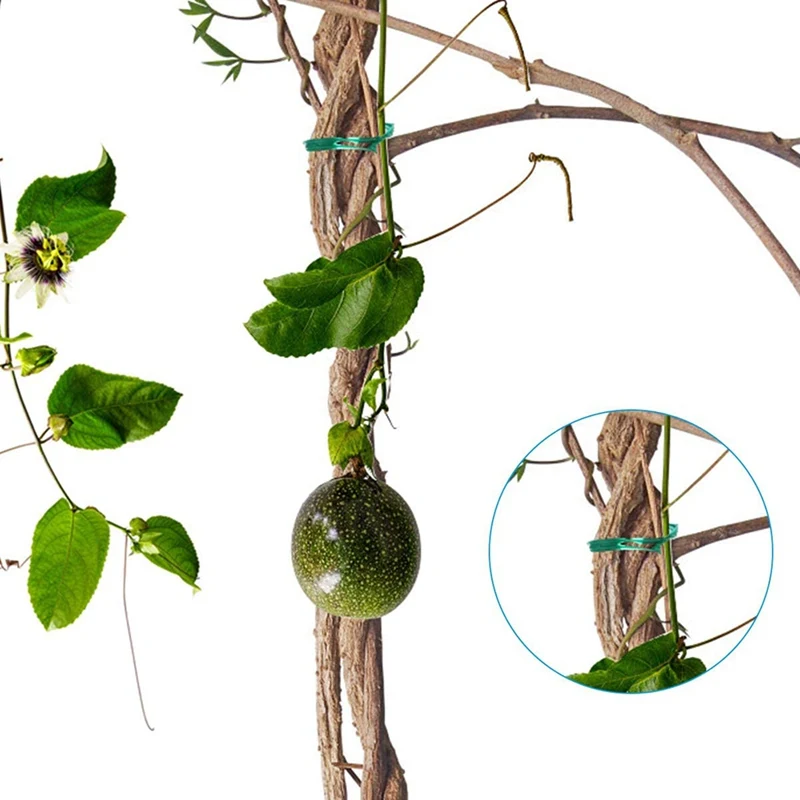 Creative Garden Cable Tie Multifuctional Plant Twist Tie Gardening Reusable Plant Flower Wire Cable With Cutter Home Improvement
Creative Garden Cable Tie Multifuctional Plant Twist Tie Gardening Reusable Plant Flower Wire Cable With Cutter Home Improvement
