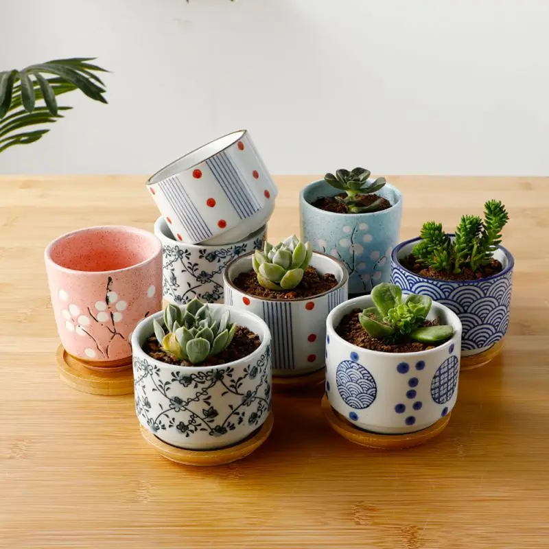 Flower Pot With Bamboo Tray Japanese style Ceramic Lot Mini Cement Succulent Pot Plant Bonsai Home Planter Garden Decor
Flower Pot With Bamboo Tray Japanese style Ceramic Lot Mini Cement Succulent Pot Plant Bonsai Home Planter Garden Decor