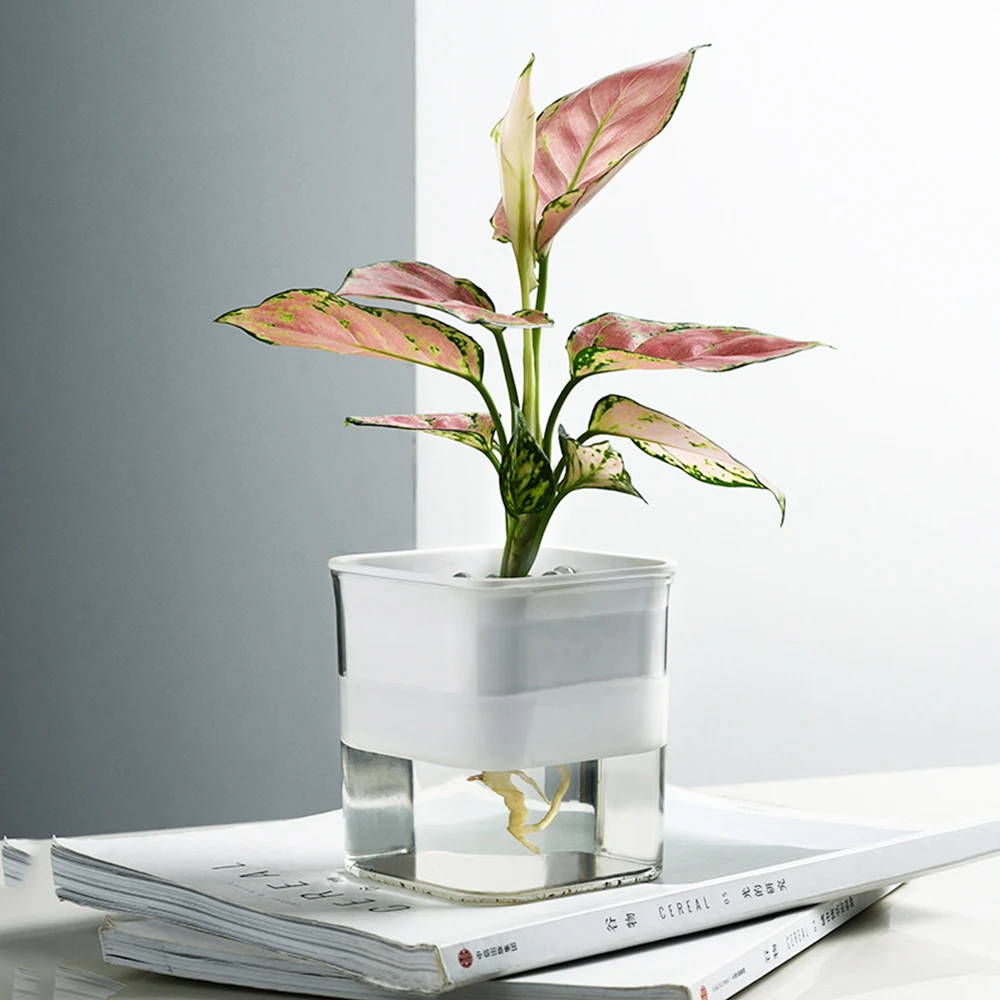 Self Watering Planter 2 Layer Flower Pot Automatic Water Absorption Container Transparent Plastic Hydroponic Flowerpot For Plant
Self Watering Planter 2 Layer Flower Pot Automatic Water Absorption Container Transparent Plastic Hydroponic Flowerpot For Plant