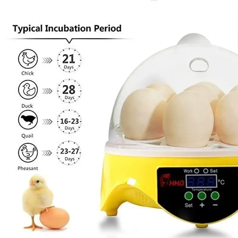 Mini Digital 7 Eggs Incubator Smart Temperature Control Farm Duck Chicken Hatcher
Mini Digital 7 Eggs Incubator Smart Temperature Control Farm Duck Chicken Hatcher