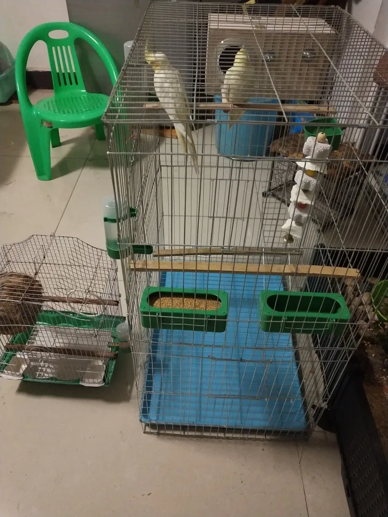 Large Bird Cages for Parrots Parakeet Octopus Metal Birdhouse Heightened Breeding Cage Bird Kages Bird Nest Pigeon Supplies
Large Bird Cages for Parrots Parakeet Octopus Metal Birdhouse Heightened Breeding Cage Bird Kages Bird Nest Pigeon Supplies