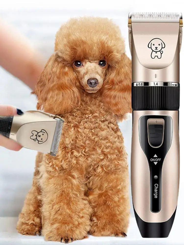 Professional Hair Clipper Rechargeable (Pet/Cat/Dog/Rabbit) Hair Trimmer Dog Hair Clipper Grooming Shaver Set Pets Haircut Tools
Professional Hair Clipper Rechargeable (Pet/Cat/Dog/Rabbit) Hair Trimmer Dog Hair Clipper Grooming Shaver Set Pets Haircut Tools