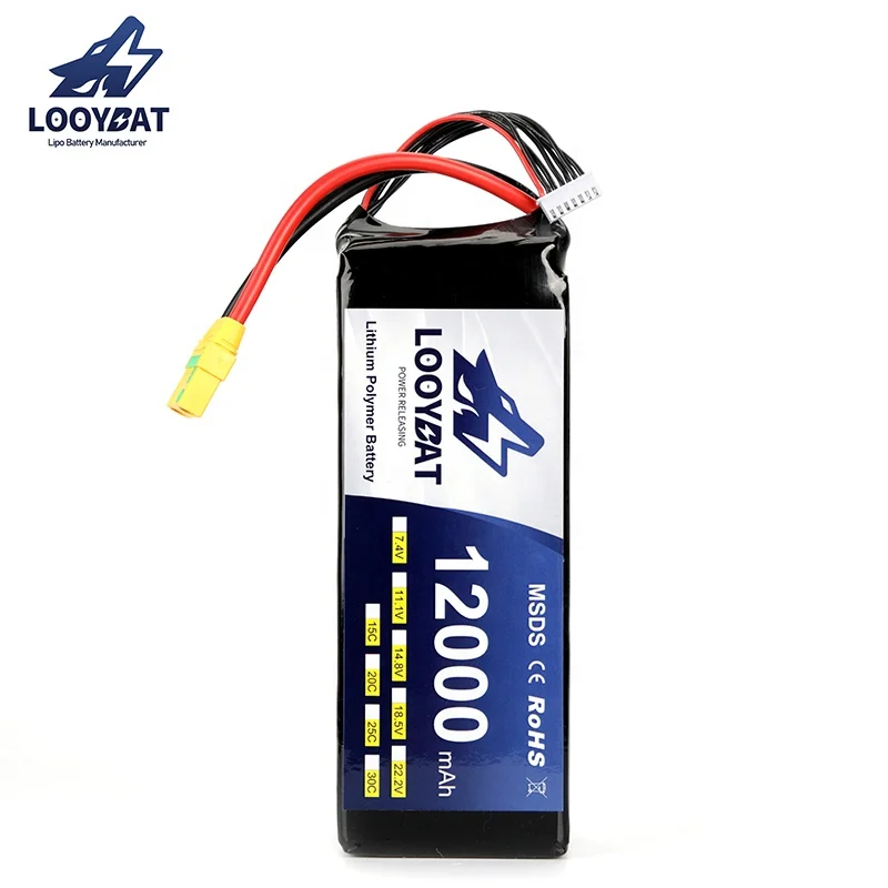 New Promotion Battery 10000mAh 12000mAh 22.2V 25C 30C Lithium Polymer Drone Battery Pack
New Promotion Battery 10000mAh 12000mAh 22.2V 25C 30C Lithium Polymer Drone Battery Pack