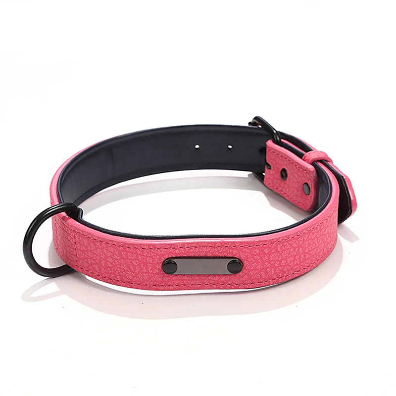 High Quality Nylon Adjustable Dog Collar Outdoor Walking Dog Harnesses with Dog Tag Prevent Losing for Large Medium Small Dogs
High Quality Nylon Adjustable Dog Collar Outdoor Walking Dog Harnesses with Dog Tag Prevent Losing for Large Medium Small Dogs