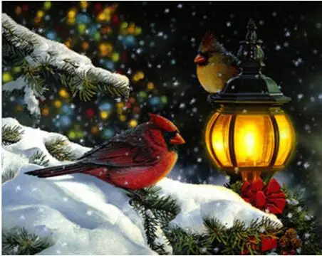 Winter Birds Full Square Mosaic Animal 5D Diamond Painting Embroidery Pattern Cross Embroidery Ornament Mosaic Decoration
Winter Birds Full Square Mosaic Animal 5D Diamond Painting Embroidery Pattern Cross Embroidery Ornament Mosaic Decoration