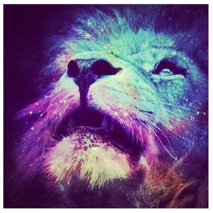 color lion king animals 5D diy diamond painting full square round drill mosaic embroidery sale rhinestone art wall decor AA2843
color lion king animals 5D diy diamond painting full square round drill mosaic embroidery sale rhinestone art wall decor AA2843