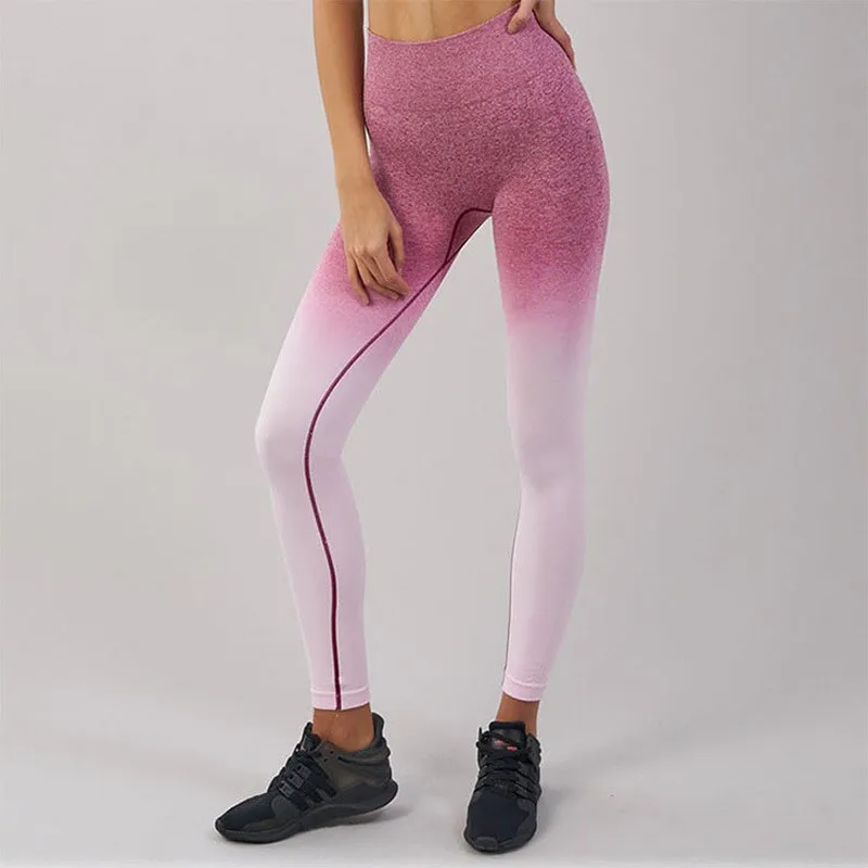 High Waist Hollow Fitness Legging 2021 Gradient Pants Sportswear Women Breathable Yoga Pant Femal Sport Leggings Woman Gym Mujer
High Waist Hollow Fitness Legging 2021 Gradient Pants Sportswear Women Breathable Yoga Pant Femal Sport Leggings Woman Gym Mujer