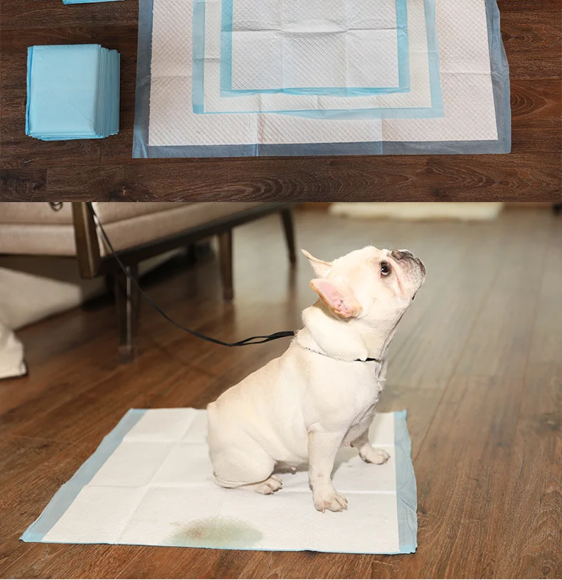 Super Absorbent Pet Diaper Dog Training Pee Pads Disposable Healthy Nappy Mat For Cats Dog Pet Supplies Soft High Quality
Super Absorbent Pet Diaper Dog Training Pee Pads Disposable Healthy Nappy Mat For Cats Dog Pet Supplies Soft High Quality