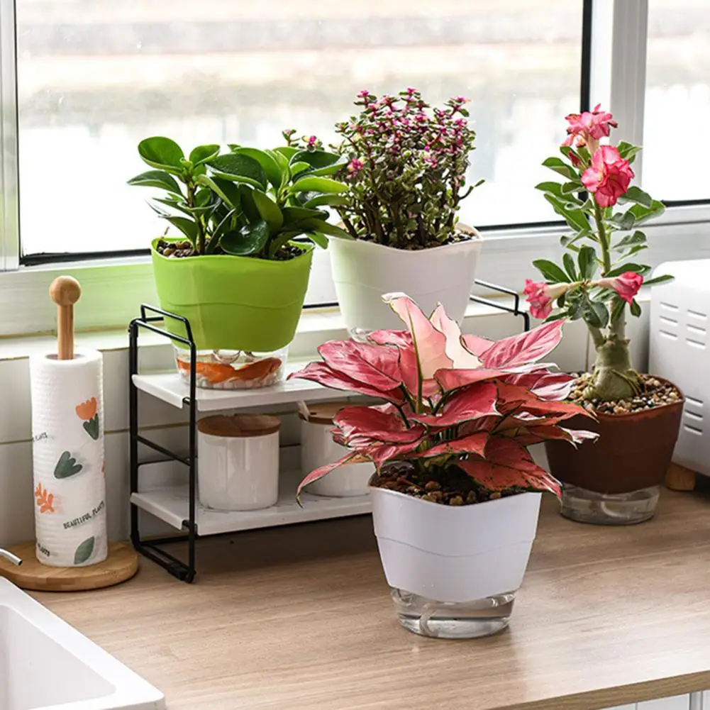 Multi-use Lazy Flower Pot Automatic Water-absorbing PP Partition Layer Detachable Planter Pot Plants Succulent Pot Garden Decor
Multi-use Lazy Flower Pot Automatic Water-absorbing PP Partition Layer Detachable Planter Pot Plants Succulent Pot Garden Decor