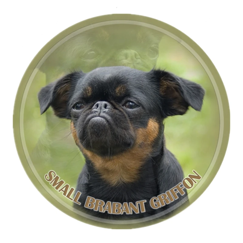 S40426# Various Sizes PVC Decal Petit Brabancon V2 Car Sticker For Bumper Rear Window Laptop Refrigerator Toilet
S40426# Various Sizes PVC Decal Petit Brabancon V2 Car Sticker For Bumper Rear Window Laptop Refrigerator Toilet