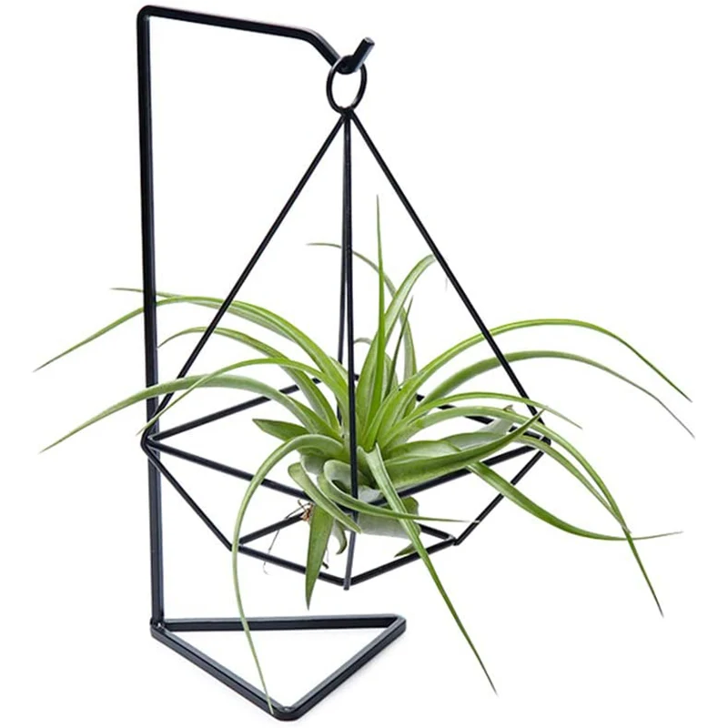 1Pc Air Plant Holder, Air Plant Terrarium, Air Plant Stand, Modern Style Air Plant Table Holder Four Side Bracket
1Pc Air Plant Holder, Air Plant Terrarium, Air Plant Stand, Modern Style Air Plant Table Holder Four Side Bracket