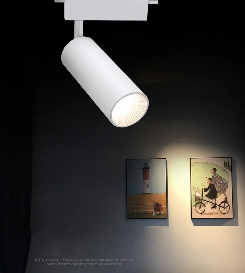 LED Track Light Commercial Lighting Fixture AC220V 20W/30W COB Downlights LED Ceiling Lamp Shop Window Display Lighting
LED Track Light Commercial Lighting Fixture AC220V 20W/30W COB Downlights LED Ceiling Lamp Shop Window Display Lighting