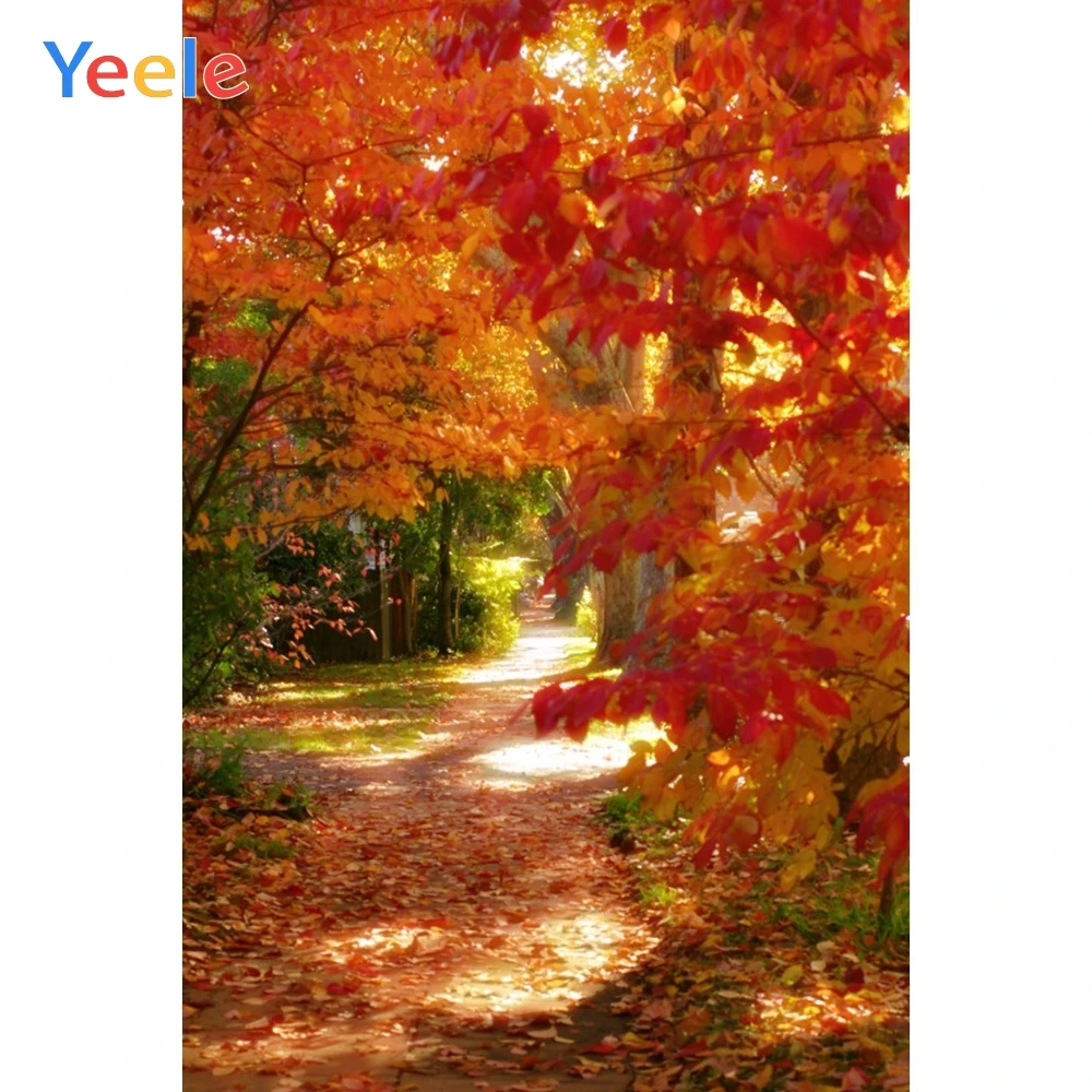 Yeele Autumn Landscape Photocall Red Maple Forest Photography Backdrops Personalized Photographic Backgrounds For Photo Studio
Yeele Autumn Landscape Photocall Red Maple Forest Photography Backdrops Personalized Photographic Backgrounds For Photo Studio