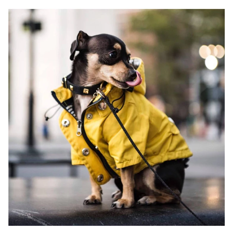 Dog Waterproof Raincoat Pet Jacket Bulldog Windbreaker Poodle Pug Bichon Puppy Coat Rainwear PU S-5XL High Quality Dog Raincoat
Dog Waterproof Raincoat Pet Jacket Bulldog Windbreaker Poodle Pug Bichon Puppy Coat Rainwear PU S-5XL High Quality Dog Raincoat