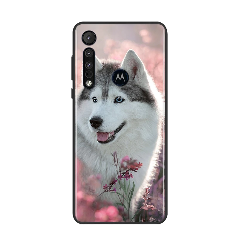 Cute Siberian Husky for Motorola G9 G8 G Edge One E7 E6 Power Lite Marco Hyper Fusion Plus Play Black Phone Case
Cute Siberian Husky for Motorola G9 G8 G Edge One E7 E6 Power Lite Marco Hyper Fusion Plus Play Black Phone Case