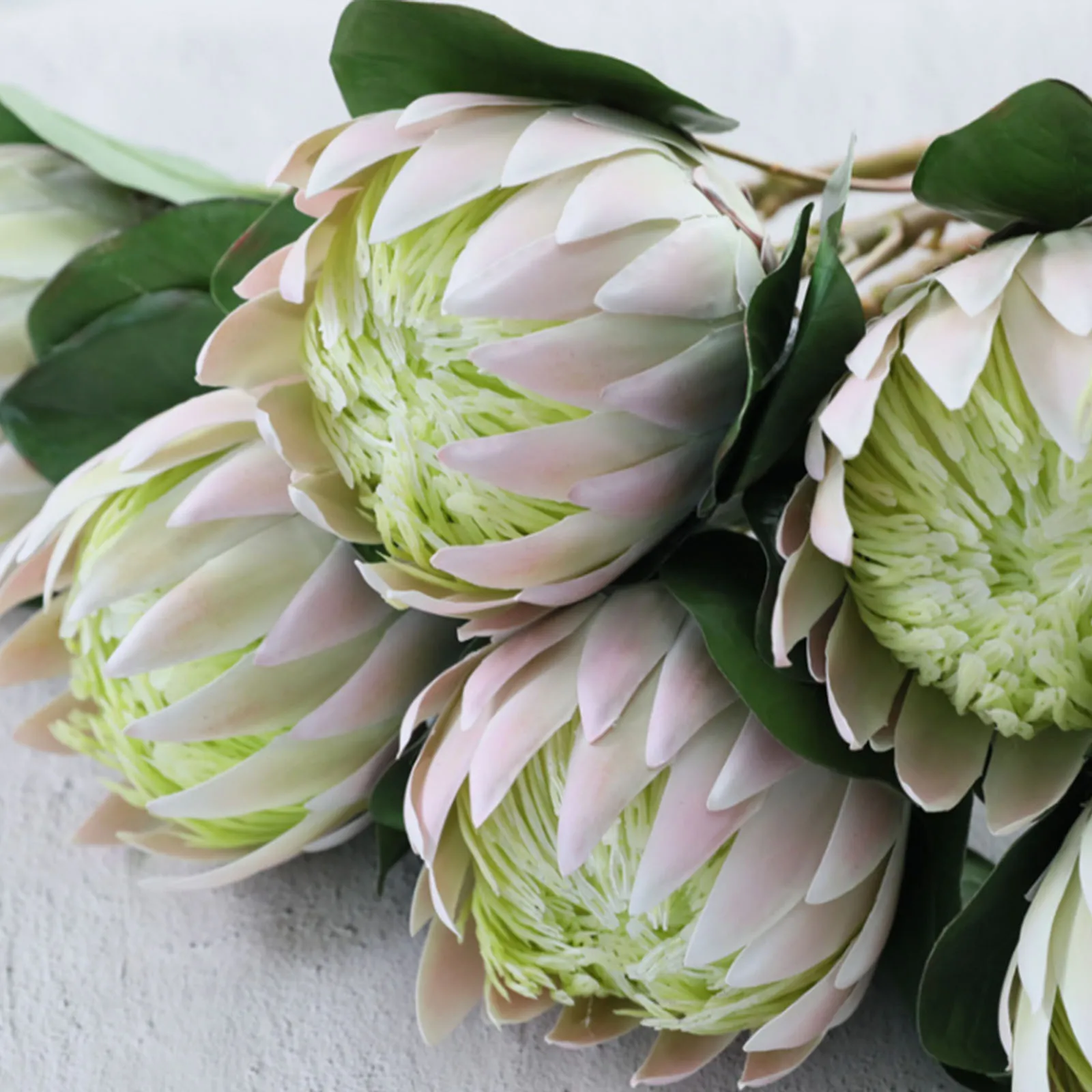 1pcs 69.5cm European Style Flower Floral Simulation Flowers Photo Props Fake Beautiful For Home Garden Hotel Decor Silk Single
1pcs 69.5cm European Style Flower Floral Simulation Flowers Photo Props Fake Beautiful For Home Garden Hotel Decor Silk Single