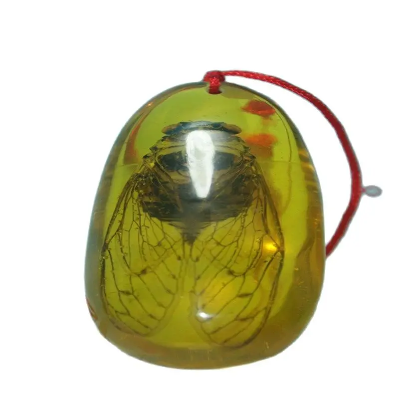 China Old Amber Unique Cicada Amber Pendants Classic Art Collection And Home Decorations
China Old Amber Unique Cicada Amber Pendants Classic Art Collection And Home Decorations