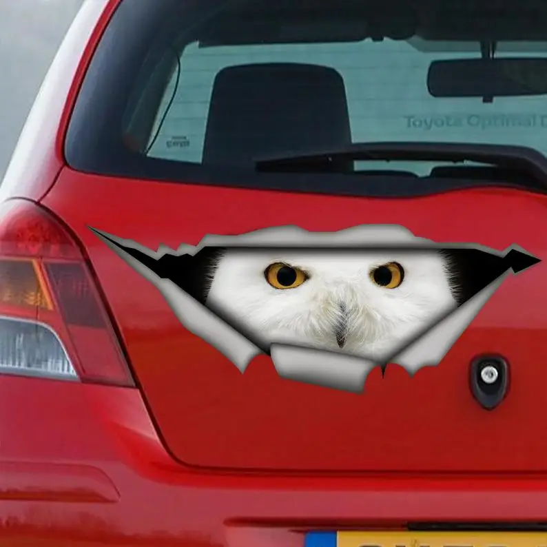 2021 White Owl sticker, owl car decal, car decoration, Owl decal, bird decal 
2021 White Owl sticker, owl car decal, car decoration, Owl decal, bird decal