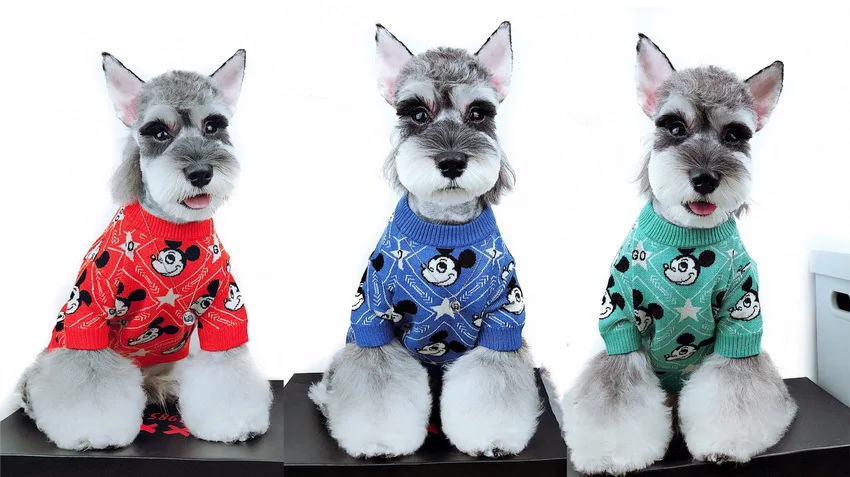 Pet Dog Cat Brand Clothes Fighting Teddy Schnauzer Puppy Fall Winter Sweater Sweaters T Shirt Jacket Coat Outfit For Cats Dogs
Pet Dog Cat Brand Clothes Fighting Teddy Schnauzer Puppy Fall Winter Sweater Sweaters T Shirt Jacket Coat Outfit For Cats Dogs