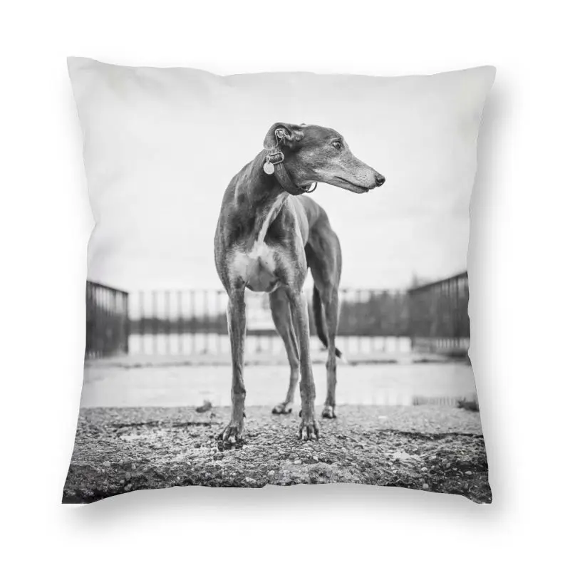 

Наволочка Greyhound с изображением собаки, декоративная подушка с изображением животных, подушка для гостиной, двухсторонняя печать