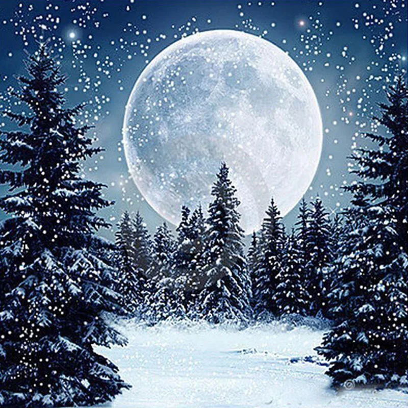SenyuArt 5D Full Square Diamond Painting By Numbers Snow Landscape Cross Stitch Diamond Embroidery Mosaic Moon Rhinestone Decor 
SenyuArt 5D Full Square Diamond Painting By Numbers Snow Landscape Cross Stitch Diamond Embroidery Mosaic Moon Rhinestone Decor
