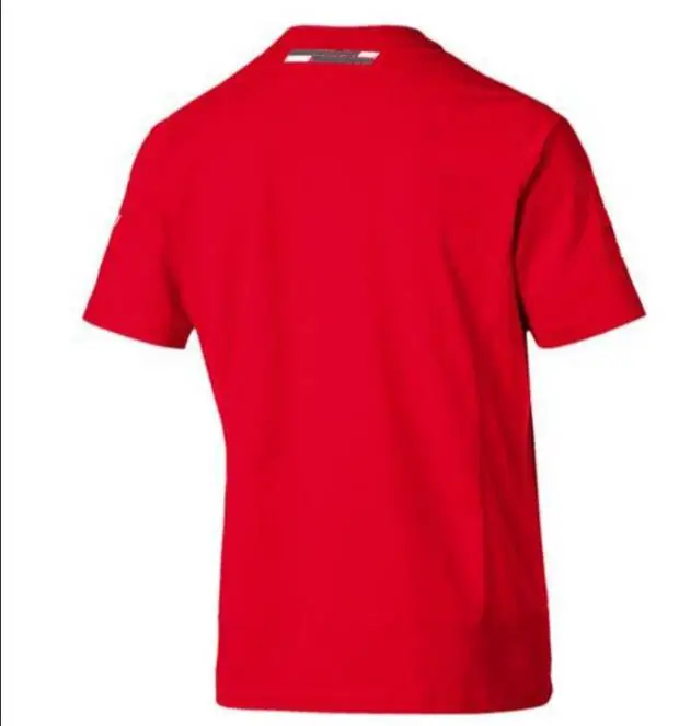 F1 team T-shirt with short sleeves, f1 car round neck T-shirt, polyester quick-drying, the same style is customized
F1 team T-shirt with short sleeves, f1 car round neck T-shirt, polyester quick-drying, the same style is customized