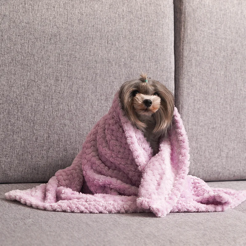3 Packs Dog Blanket Cat Mat Sleeping Mat Pet Quilt Winter Cat Blanket Fall Winter(L*W=70*50CM)
3 Packs Dog Blanket Cat Mat Sleeping Mat Pet Quilt Winter Cat Blanket Fall Winter(L*W=70*50CM)