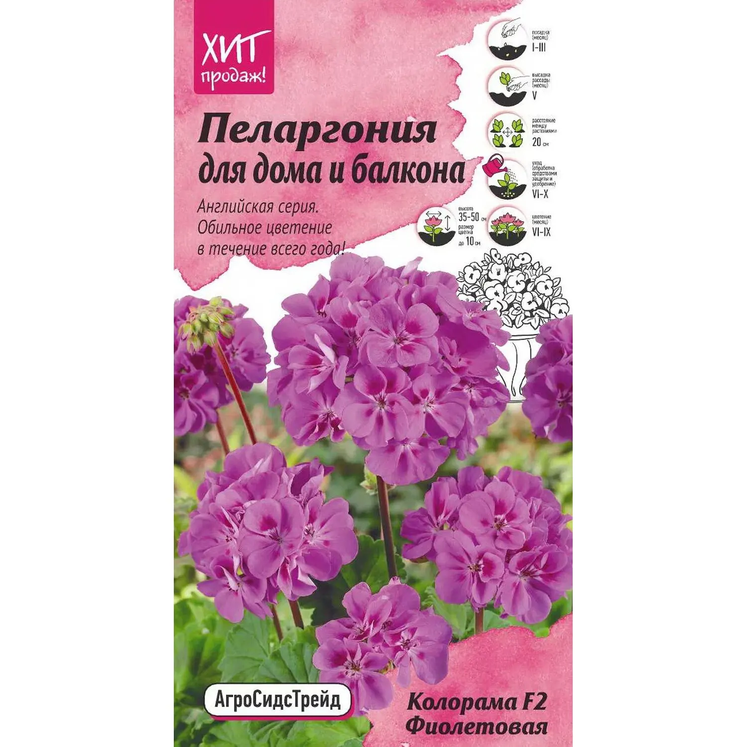 Герань Леруа Мерлен