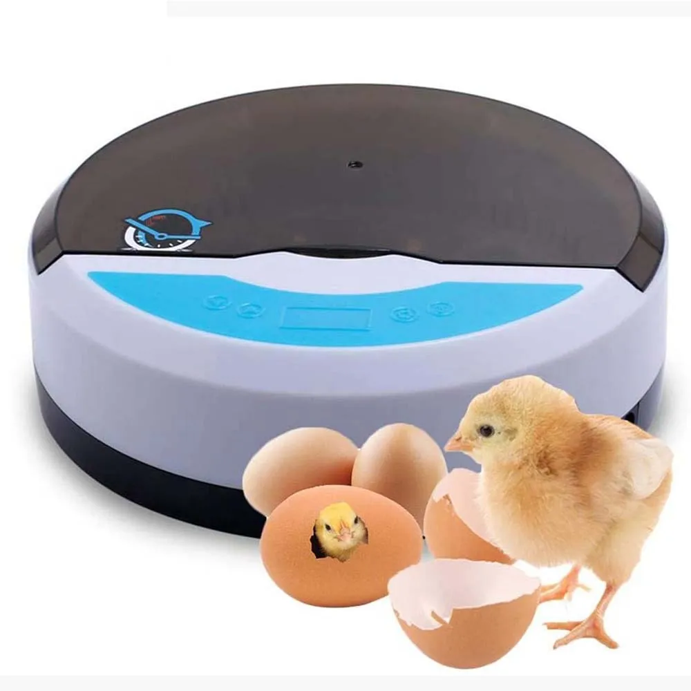 9pcs Newst Fully Automatic LED Incubator Temperature Humidity Chicken Incubator Farm Hatchery Machine Accessories For Bird Quail
9pcs Newst Fully Automatic LED Incubator Temperature Humidity Chicken Incubator Farm Hatchery Machine Accessories For Bird Quail