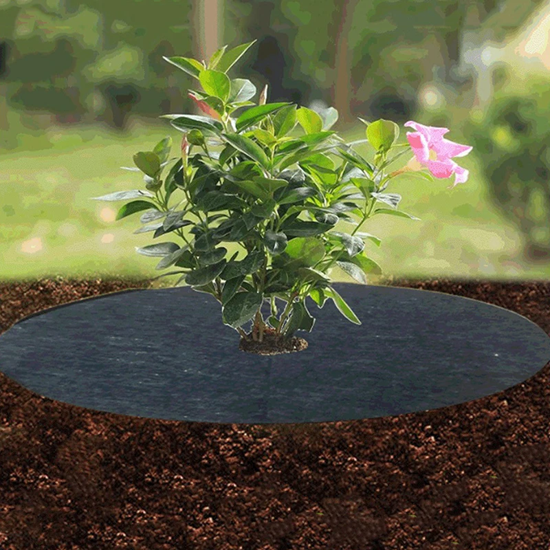 10Pcs Tree Protection Weed Mats Ecological Control Cloth Mulch Ring Round Weed Barrier Plant Cover For Indoor Outdoor Gardens
10Pcs Tree Protection Weed Mats Ecological Control Cloth Mulch Ring Round Weed Barrier Plant Cover For Indoor Outdoor Gardens