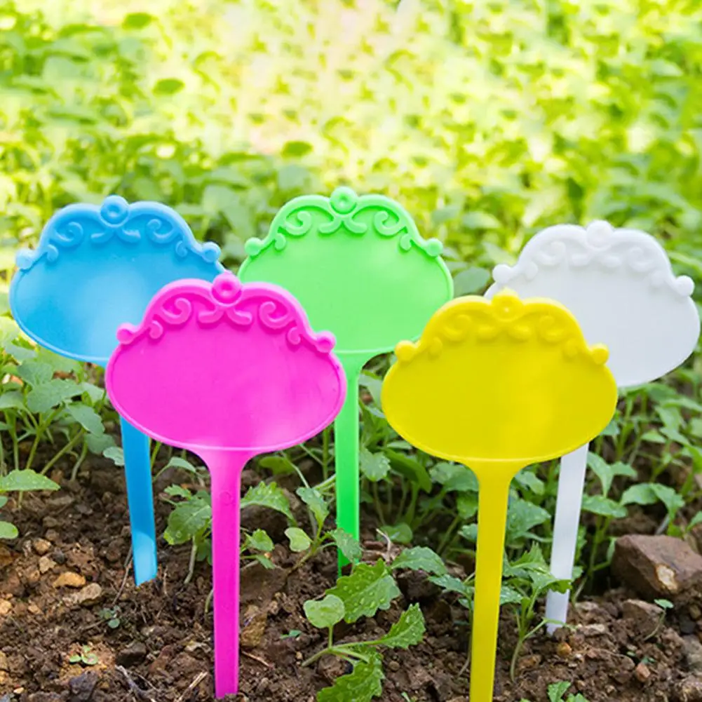 20Pcs Flower Shaped Decorative PP Gardening Name Tree Plant Markers Tag Stake Address Signs
20Pcs Flower Shaped Decorative PP Gardening Name Tree Plant Markers Tag Stake Address Signs