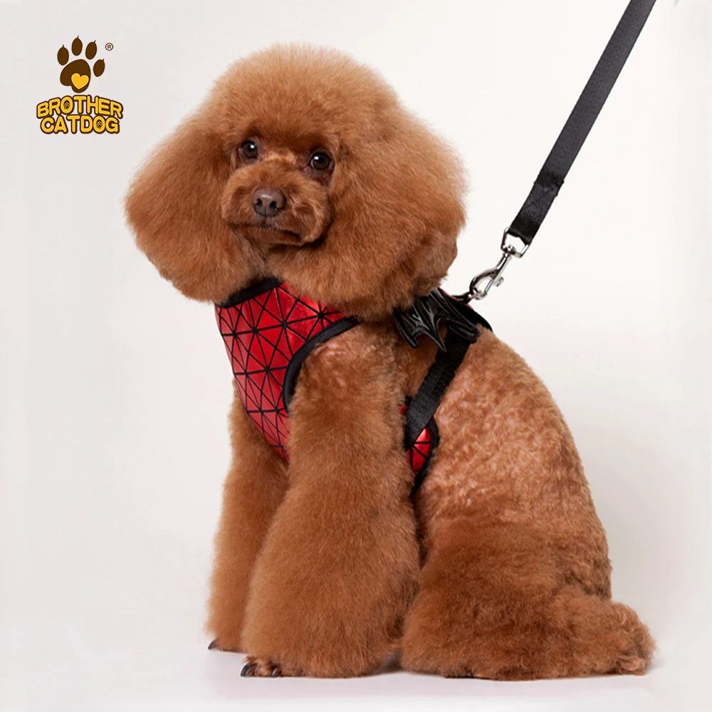 Модный жилет с рисунком летучая мышь, одежда для домашних питомцев, шлейка для собак с поводком, Регулируемый мягкий жилет для маленьких соб...
Модный жилет с рисунком летучая мышь, одежда для домашних питомцев, шлейка для собак с поводком, Регулируемый мягкий жилет для маленьких соб...