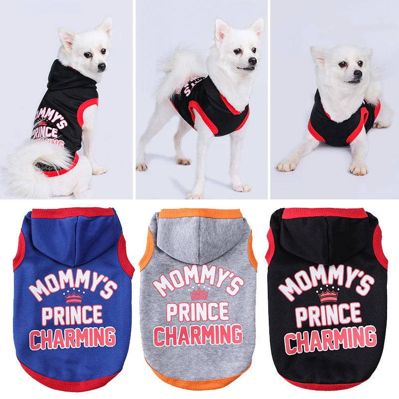 Letter Print Pet Clothes Four Seasons for Small and Medium Dog Cats Hoodie French Bulldog Chihuahua Jacket Shirt Dog Clothing
Letter Print Pet Clothes Four Seasons for Small and Medium Dog Cats Hoodie French Bulldog Chihuahua Jacket Shirt Dog Clothing