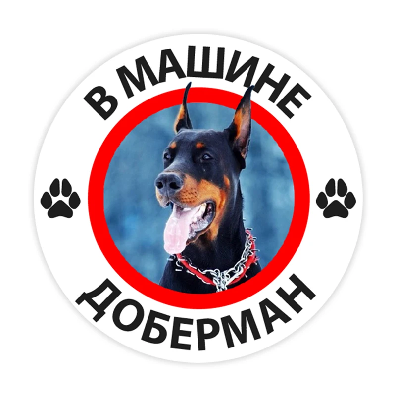 B0285# 10/13/15 cm Doberman in the Car Self-adhesive Decal Car Sticker Waterproof Auto Decors on Bumper Rear Window 
B0285# 10/13/15 cm Doberman in the Car Self-adhesive Decal Car Sticker Waterproof Auto Decors on Bumper Rear Window