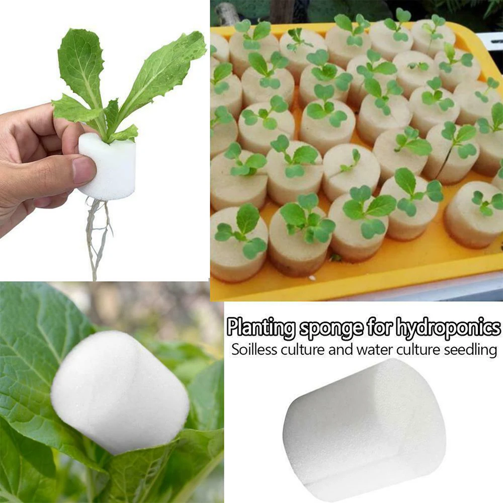 100pcs 32mm Sponge Planting Soilless Hydroponic Vegetables Nursery Pots Flower Seed Cultivation Garden Sponge Seed Trays
100pcs 32mm Sponge Planting Soilless Hydroponic Vegetables Nursery Pots Flower Seed Cultivation Garden Sponge Seed Trays