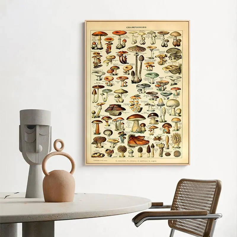 Vintage Mushroom Poster Kitchen Decor Antique Botanical Art Prints French Version Educational Wall Art Canvas Painting Pictures 
Vintage Mushroom Poster Kitchen Decor Antique Botanical Art Prints French Version Educational Wall Art Canvas Painting Pictures